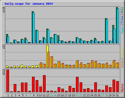 Daily usage for January 2024