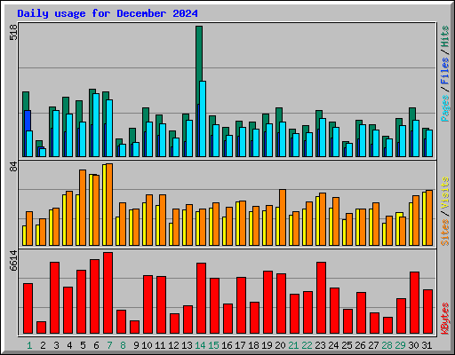 Daily usage for December 2024
