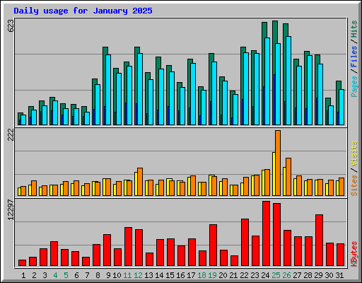 Daily usage for January 2025