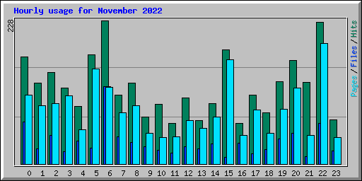 Hourly usage for November 2022
