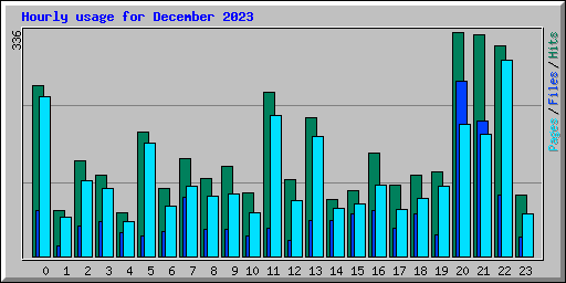 Hourly usage for December 2023