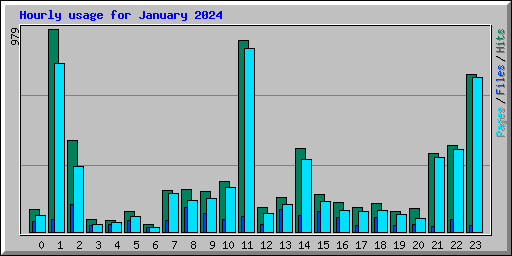 Hourly usage for January 2024