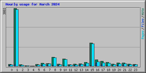Hourly usage for March 2024
