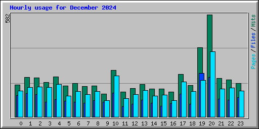 Hourly usage for December 2024