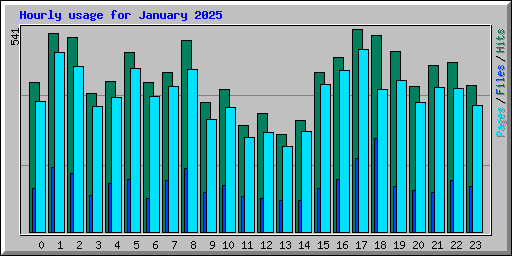 Hourly usage for January 2025