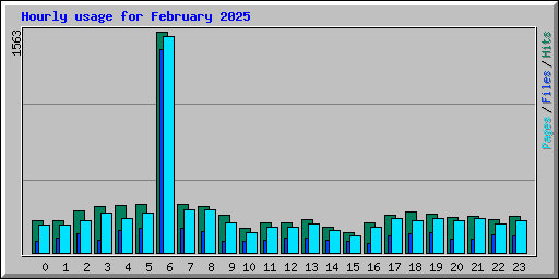 Hourly usage for February 2025