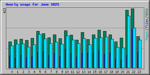 Hourly usage for June 2025