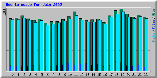 Hourly usage for July 2025