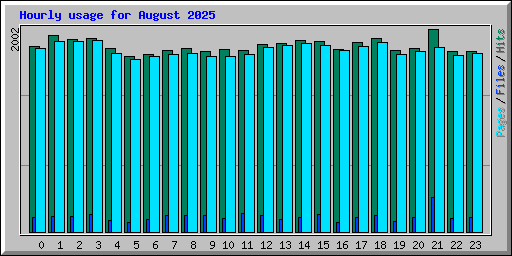 Hourly usage for August 2025