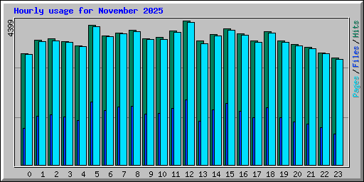 Hourly usage for November 2025