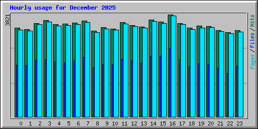 Hourly usage for December 2025