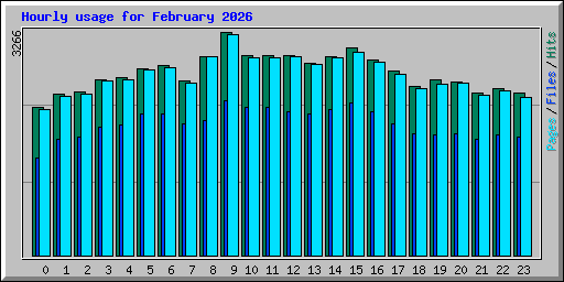 Hourly usage for February 2026