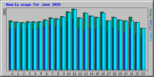 Hourly usage for June 2026