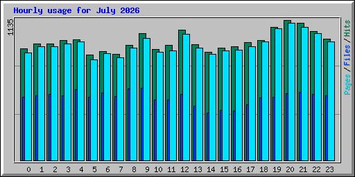 Hourly usage for July 2026