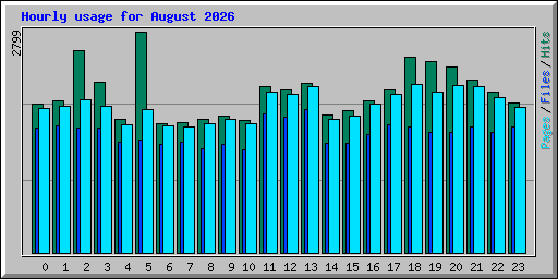 Hourly usage for August 2026